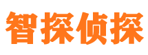 安远市私家侦探